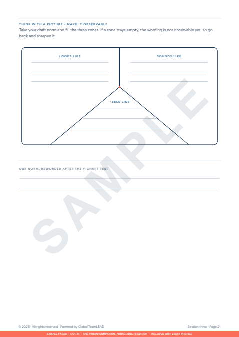 Sample workbook page with a Y-chart for testing a team norm: looks like, sounds like and feels like